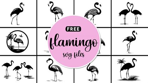 Download Free Be a Flamingo SVG Cutting File Easy Edite