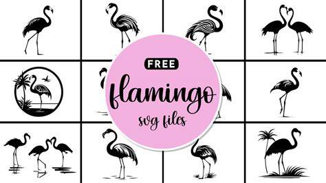 Download Free Be a Flamingo SVG Cutting File Printable