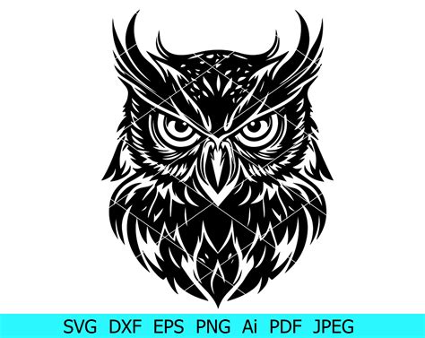 Download Free Beautiful Owl Files