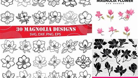 Download Free Beautiful magnolia flowers vector pack. DXF Files