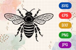 Download Free Bee Vector SVG DXF EPS PNG Easy Edite