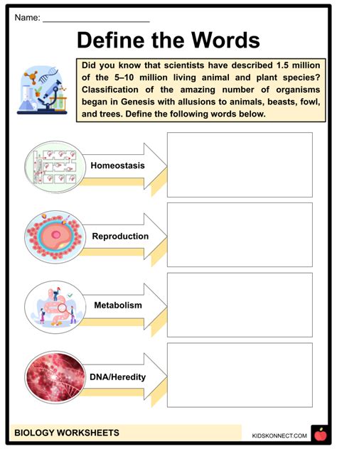 Free Biology Worksheets