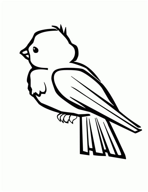Free Bird Coloring Pages Printable