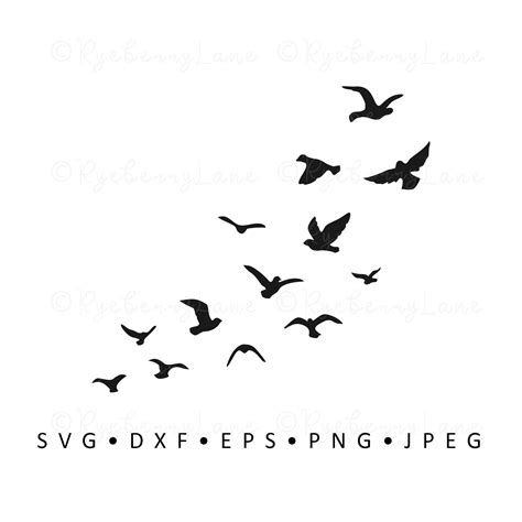 Download Free Birds set - SVG Birds Commercial Use