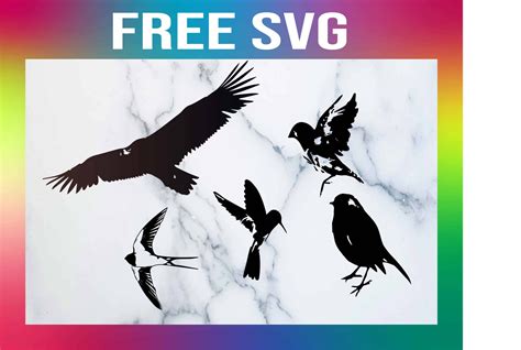 Download Free Birds set - SVG Birds Commercial Use For Crafts