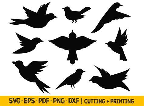 Download Free Birds set - SVG Birds Cut Files