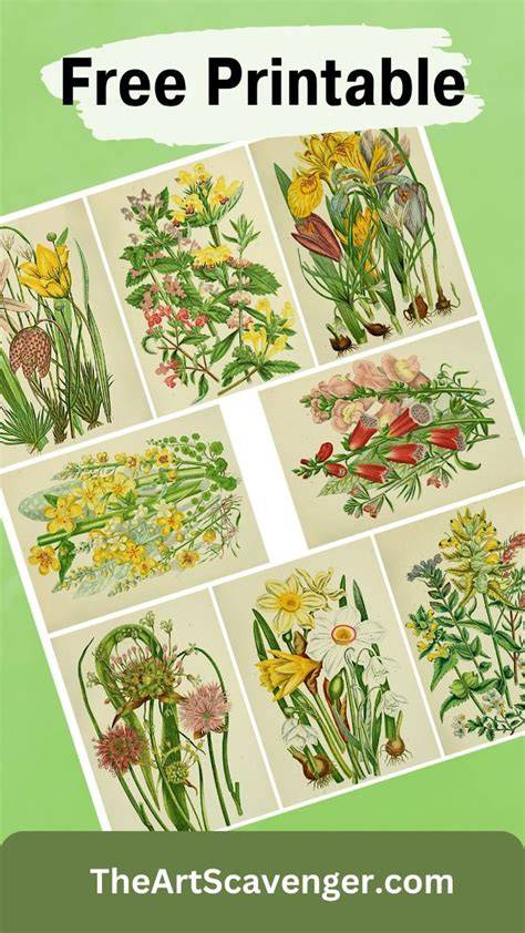 Download Free Botanical ATC Card Printables Set 1 Files