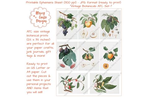 Download Free Botanical ATC Card Printables Set 1 For Crafts