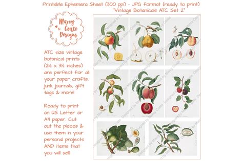 Download Free Botanical ATC Card Printables Set 2 Commercial Use
