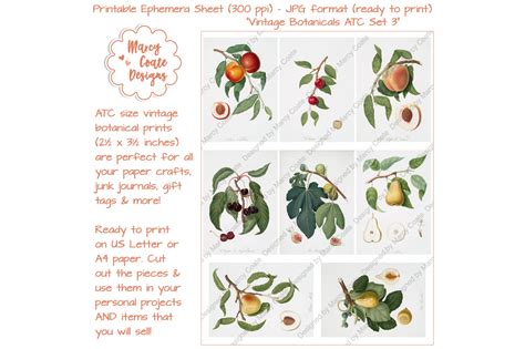 Download Free Botanical ATC Card Printables Set 3 Cut Files