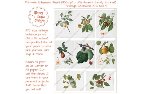 Download Free Botanical ATC Card Printables Set 4 Files DXF Files