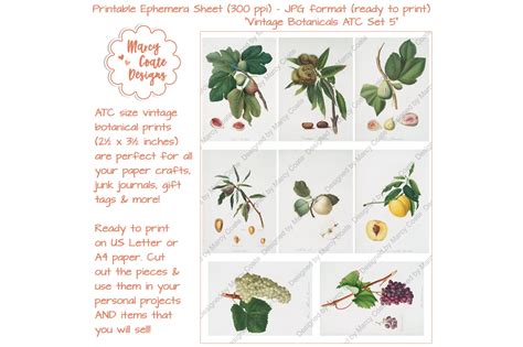 Download Free Botanical ATC Card Printables Set 5 Commercial Use