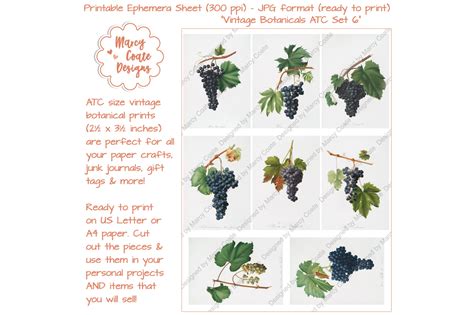 Download Free Botanical ATC Card Printables Set 6 Crafts