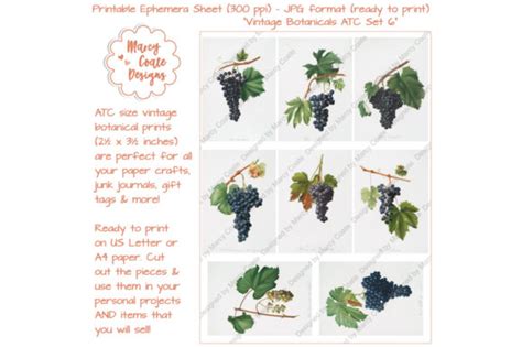 Download Free Botanical ATC Card Printables Set 6 Files Free PSD Mockups