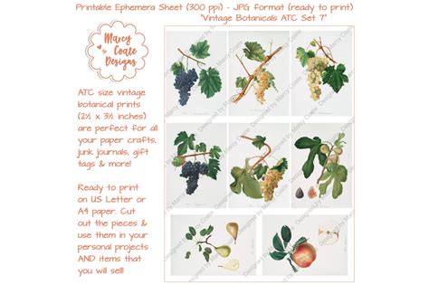 Download Free Botanical ATC Card Printables Set 7 Commercial Use DXF Files
