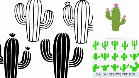 Download Free Cactus, Cut File for Cricut