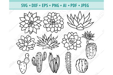 Download Free Cactus SVG / DXF / EPS / PNG Files Files