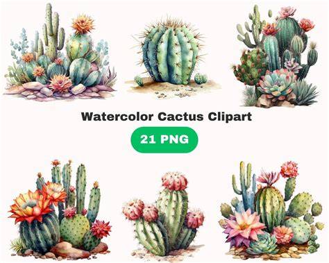 Download Free Cactus Set Commercial Use