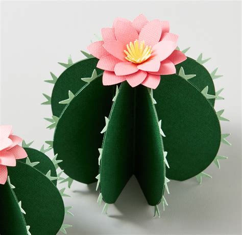 Download Free Cactus Set Creativefabrica For Crafts