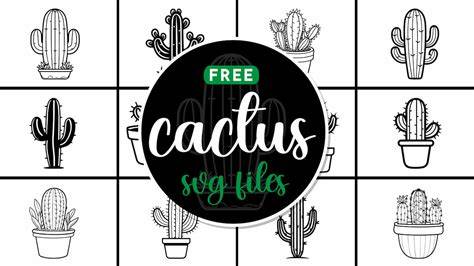 Download Free Cactus Set Files