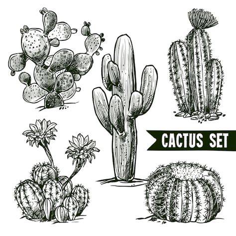Download Free Cactus Set Files Free PSD Mockups