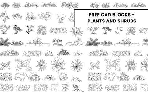 Download Free Cad Blocks For Plants For Crafts