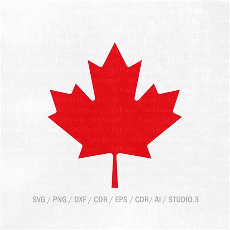 Download Free Canada Leaf - SVG File, DXF File Commercial Use DXF Files