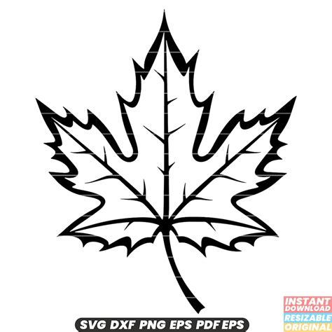 Download Free Canada Leaf - SVG File, DXF File DXF Files