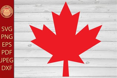 Download Free Canadian Maple - SVG File, DXF File Files Free PSD Mockups