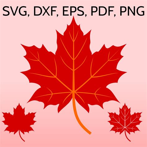 Download Free Canadian Maple - SVG File, DXF File Files for Cricut