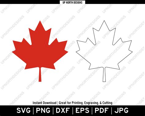 Download Free Canadian Maple - SVG File, DXF File for Cricut