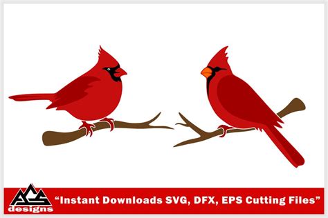 Download Free Cardinal Bird Papercut Svg Design For Cricut