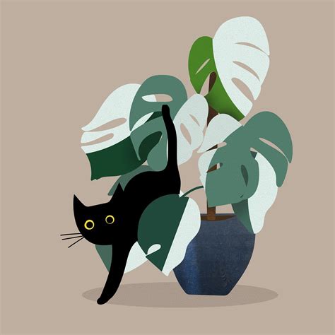 Free Cat Illustrations