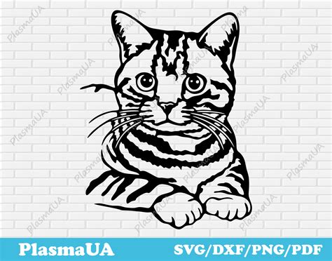 Download Free Cat SVG, Cat DXF, Cuttable File For Cricut