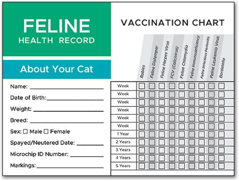 Free Cat Vaccination Record Printable Pdf