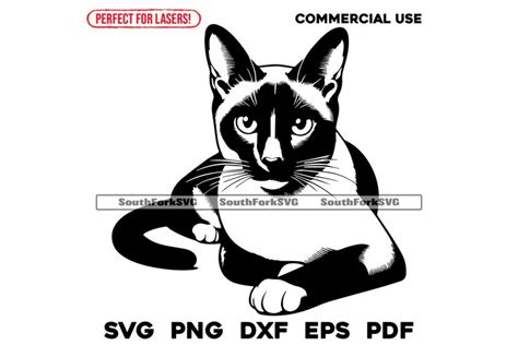 Download Free Cat design Files