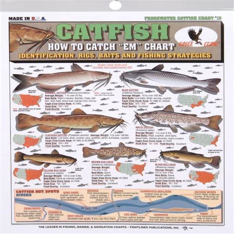 Free Catfish Fishing Catalogs