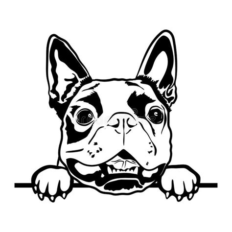 Download Free Chameleon Clipart Set Files DXF Files