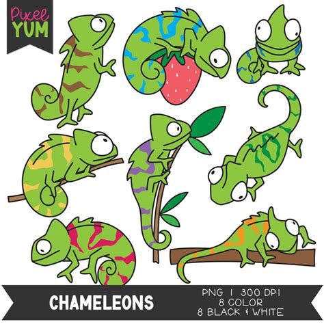 Download Free Chameleon Clipart Set Files Free PSD Mockups