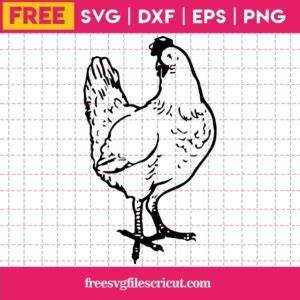 Download Free Chicken SVG / DXF / EPS / PNG Files Images