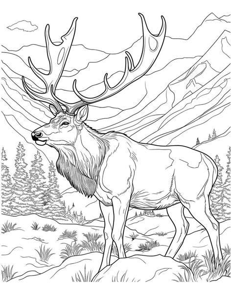 Free Coloring Pages Elk