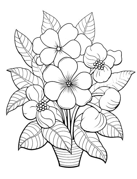 Free Coloring Pages For Adults Flowers