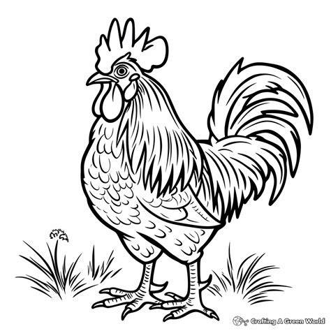 Free Coloring Pages Of Rooster Farm