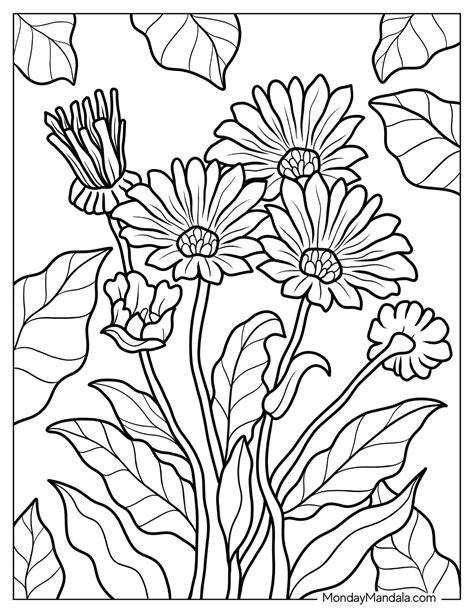 Free Coloring Pages Pdf