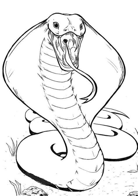 Free Coloring Pages Snakes
