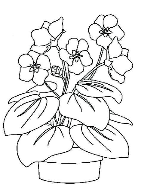 Free Coloring Pages Violets
