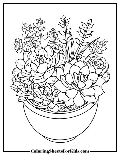 Download Free Coloring succulent plants KDP notebook. Commercial Use