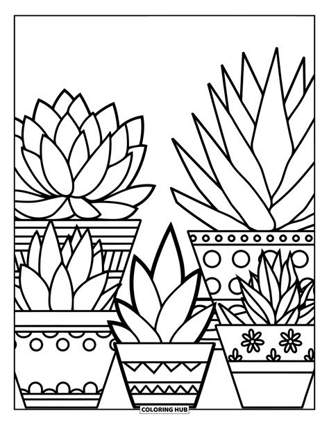 Download Free Coloring succulent plants KDP notebook. Easy Edite