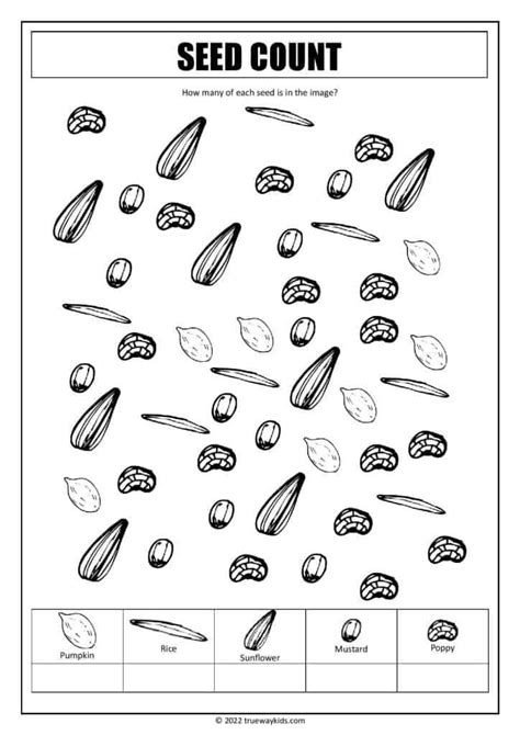 Download Free Count the Seeds Easy Edite