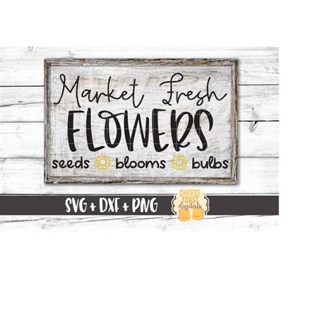 Download Free Count the Seeds Files DXF Files